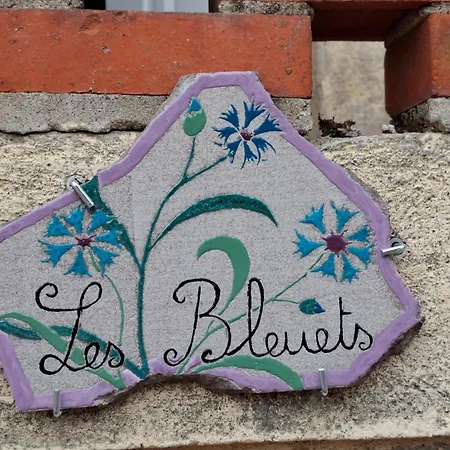 Les Bleuets Apartment Lapalisse Exterior photo